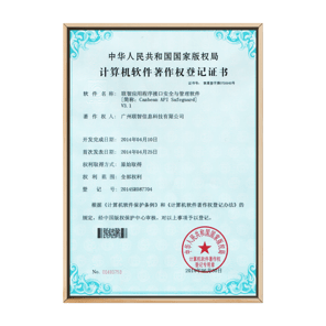 应用程序接口安全与管理软件